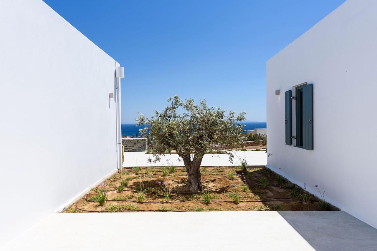 Villa Complex White And Rocks Páros 外观 照片